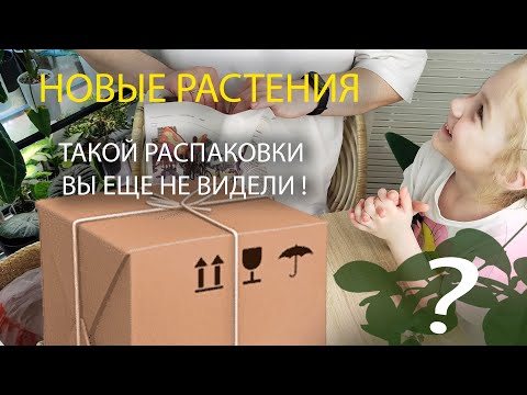 Видео: НОВЫЕ РАСТЕНИЯ | РАСПАКОВКА