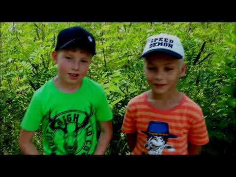 Видео: детский лагерь ДОЛ" Маяк в Воронеже