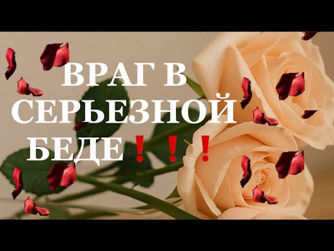 Видео: ❗️❗️ВРАГ В СЕРЬЕЗНОЙ БЕДЕ‼️😱😱😱#таро#враги  #tarot    ##strunatarot