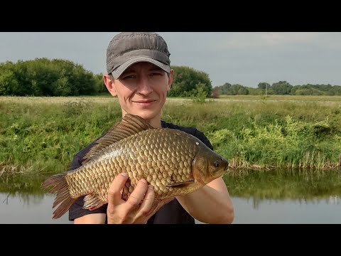 Видео: Ловля карася на донки.  Рыбалка на кашу.