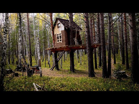 Видео: ДОМ НА ДЕРЕВЕ / СКОРО НОВОСЕЛЬЕ
