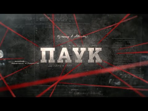 Видео: Паук  | Вещдок