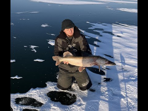 Видео: ВОЛШЕБНАЯ ЛУНКА СПАСЛА РЫБАЛКУ ..А ПОД ВЕЧЕР КЛЮНУЛА ОНА