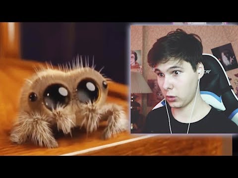 Видео: САМОЕ СМЕШНОЕ ВИДЕО В МИРЕ Тест на психику ЗАСМЕЯЛСЯ ПРОИГРАЛ ЧЕЛЛЕНДЖ