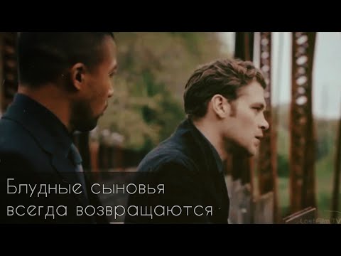 Видео: Klaus & Marcel • Я с первой встречи знал что ты чудовище