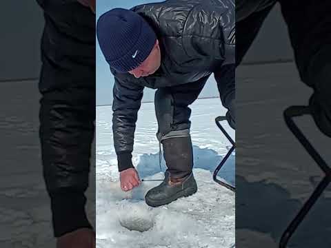 Видео: р. Маныч. отчет за 01.03.2025