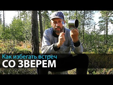 Видео: Как избегать встреч со зверем | Безопасность в водном походе
