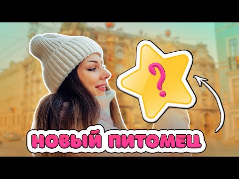 Видео: ВЗЯЛИ НОВОГО ПИТОМЦА | ЕДЕМ в МАШИНЕ с НОВЫМ ПИТОМЦЕМ 24 ЧАСА