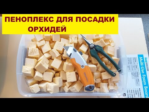Видео: ПЕНОПЛЕКС  ДЛЯ ПОСАДКИ  ОРХИДЕЙ. ЧТО ЭТО И ГДЕ ВЗЯТЬ