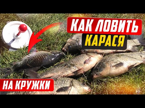 Видео: Ловля карася на кружки. Как поймать карася на кружки. Ловля на макуху.