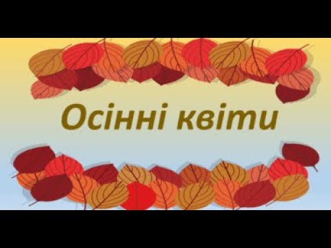 Видео: Дидактична гра ''Осінні квіти''