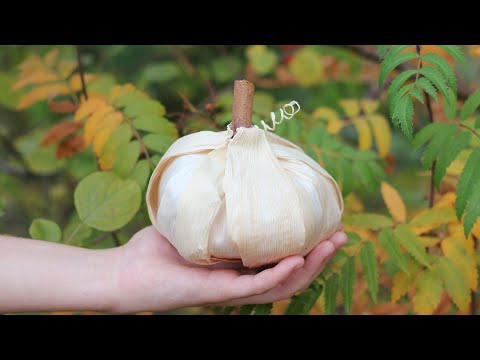 Видео: Тыква из талаша (кукурузных листьев). Мастер-класс