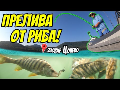 Видео: ПРЕЛИВА ОТ РИБА!! ЗАШЕМЕТЯВАЩ РИБОЛОВ НА ЯЗОВИР ЦОНЕВО. РИБОЛОВ НА КОСТУР, ЩУКА И БЯЛА РИБА