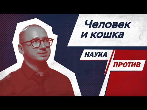 Видео: Зачем заводить кота? Отвечает зоопсихолог Мирослав Волков // Наука против