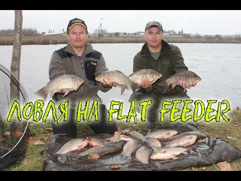 Видео: Ловля огромных карасей и карпов  на флэт метод. Flat Feeder HD