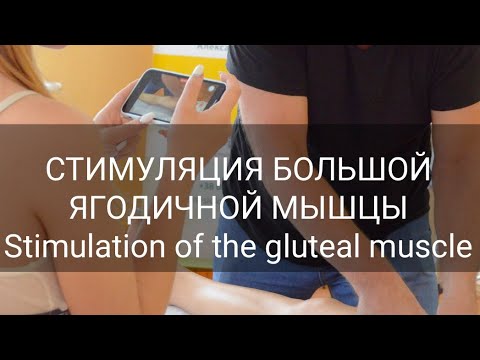 Видео: Stimulation of the gluteal muscle / СТИМУЛЯЦИЯ БОЛЬШОЙ ЯГОДИЧНОЙ МЫШЦЫ