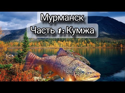 Видео: МУРМАНСК~ЧАСТЬ 1: КУМЖА~КОЛЬСКИЙ ПОЛУОСТРОВ