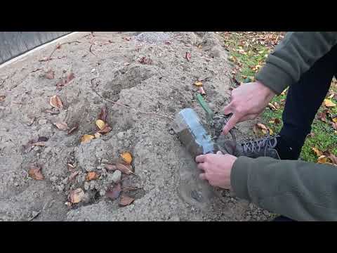 Видео: Розмноження міні ківі воздушними отводками Наш досвід