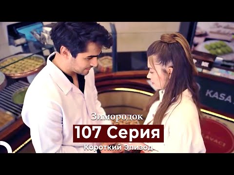 Видео: Зимородок 107 Cерия (Короткий Эпизод) (Русский дубляж)