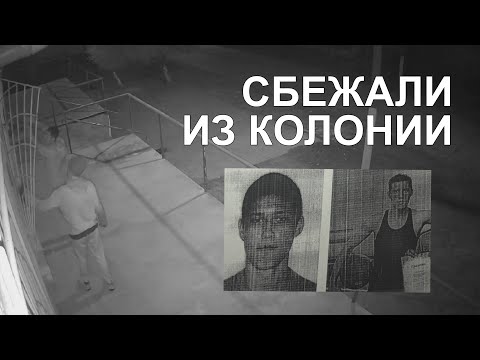 Видео: Сбежали из колонии