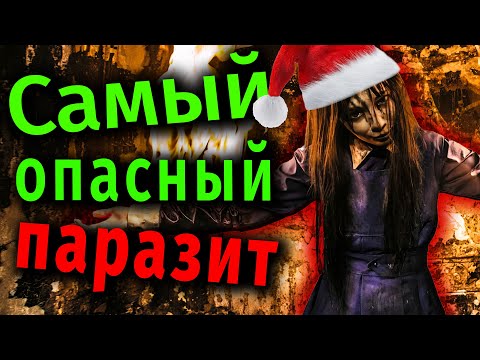 Видео: Как мир отражает ЭГОизм и гордыню