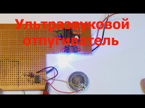 Видео: Отпугиватель комаров , пауков , мышей и крыс с изменяемой частотой.
