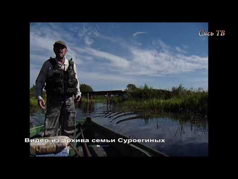 Видео: Путешествие по Новоладожскому каналу