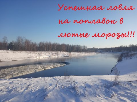 Видео: Успешная рыбалка на поплавок в лютые морозы!!!