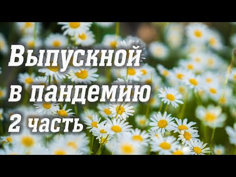 Видео: Выпускной в период пандемии! 2 часть 2020 🎶