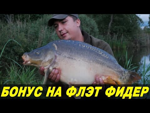 Видео: ОГРОМНЫЙ КАРП УТАЩИЛ СНАСТИ.  50ТЫС  на поводке 0,15мм.  Флэт фидер