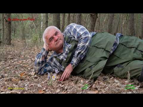 Видео: По р Случь 19 21 апреля 2019г S