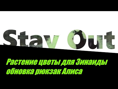 Видео: ⭐Stay Out⭐Сталкер-Онлайн👍 Цветы растение Зинаиде . Обновка рюкзак Алиса .