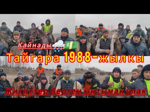 Видео: Тайгара айылы