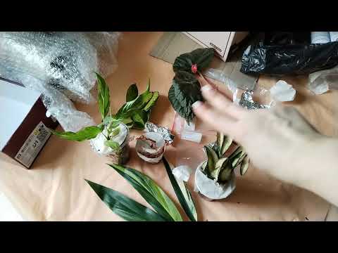Видео: Две распаковки.  Классные новинки.