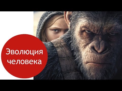 Видео: Эволюция человека | самое простое объяснение