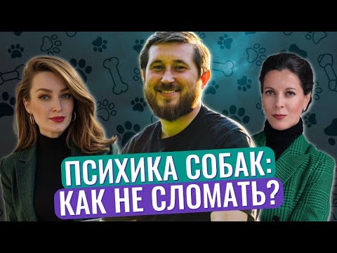 Видео: Психология собак // Собачья депрессия и тревога // Потребности собак