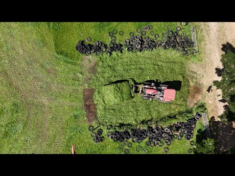 Видео: Первый укос силоса, действительно хорошего качества