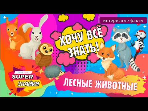 Видео: Лесные животные для детей /Животные леса/ Развивающие мультики/ Интересные факты/ Звуки животных