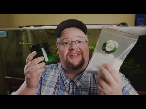 Видео: Водные растения умирают? Узнайте, почему и как их спасти! Понимание макро- и микроэлементов