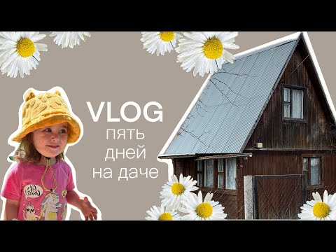 Видео: Пять дней без душа 😱 Делаю плетень из мусора 🤭 Преображение старой дачи ✨