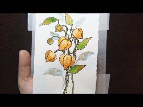 Видео: Рисунок акварелью