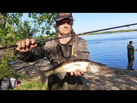 Видео: Весенний судак. Береговая рыбалка!