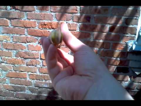 Видео: Создание рукояти финского ножа, с "грибком". часть 4