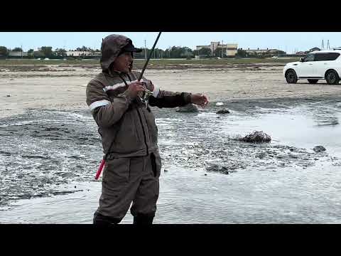 Видео: 07.05.2024 тағы да балыққа шықтық