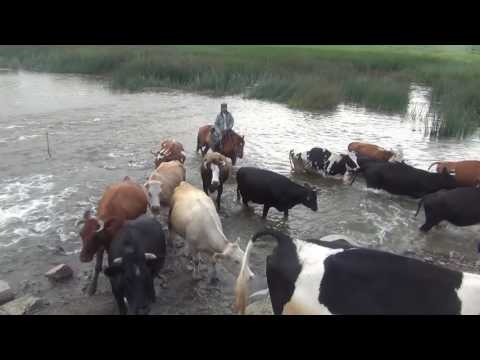 Видео: Переправа   г.Атбасар