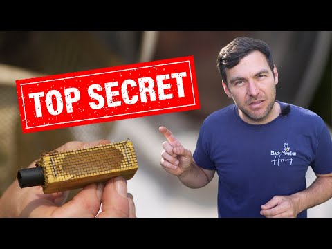 Видео: Как найти пчелиную матку, когда всё остальное не помогает