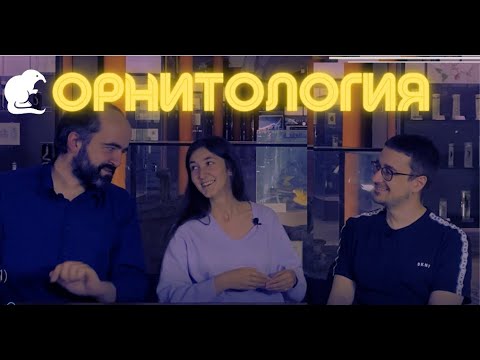 Видео: Подкаст Музей говорит! Орнитология, бёрдвотчинг и работа в музее