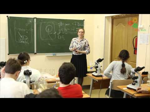 Видео: Физиология растений. Практикум в ЦПМ. Часть 3. Окрашивание клеток нейтральным красным (Е. Быкова)