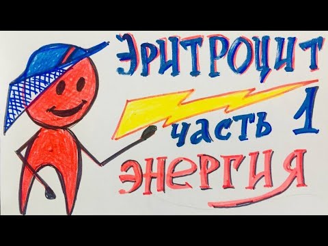 Видео: Эритроцит. Где взять энергию? Биохимия