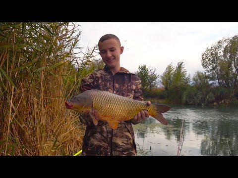 Видео: 4 ЧАСА НА АКСАЕ !!!